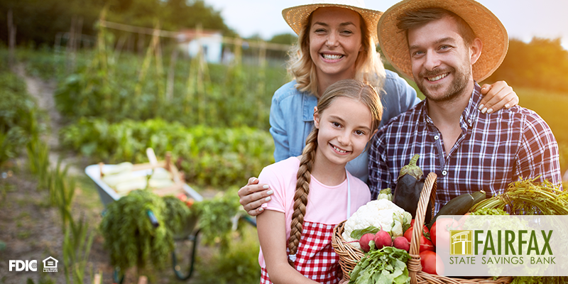 How to Start a Garden without Splurging
